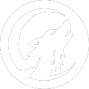 NIGHT WOLVES ESPORT