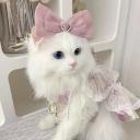 🎀 Ask To Dm  ^⩊^⟆ Cutecats﹒Social﹒Active﹒Guild tags﹒Vc﹒Giveaways & Emotes﹒Ask2DM avatar