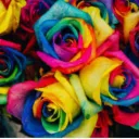 ࿐°*˖✧The Rose Garden✧˖*°࿐ discord icon