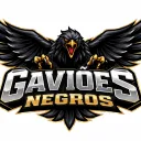 Gaviões Negros