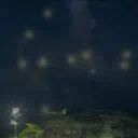 Noctuus Hortis