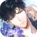 Light and Night PH