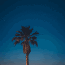 https://cdn.discordapp.com/icons/1334533872486187133/a_649c73f27a04861c175edf95d2f98542.gif?size=128