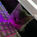 ᴄᴀꜰé