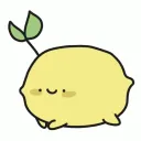 Lemon Time