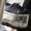 The Aquarium