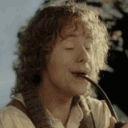 Peregrin RP Community