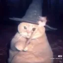 김능이 작업방