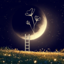 The Lunar Meadow Discord server icon