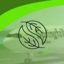 Springfall Airlines