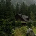 🌲🏔 ★ CHEETOS’ CABIN .ᐟ