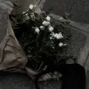 scaaeru's mm service