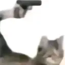 FUCK cult