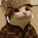 PoPcat Hub