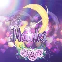₊     ʚ THE MOONLEX