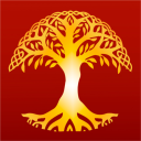 The Lemon Tree
