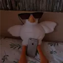 Гусь [🦢]