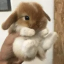 United Chill Nations [ARCHIVED]