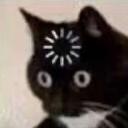 /pussycats  ᓚᘏᗢ Discord server icon