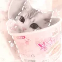 𓊆ྀི🍥𓊇ྀི 𝐣𝐞𝐦𝐢𝐧𝐢𝐞𝐬  ﹕ⵌ┆ ⏔⏔⏔