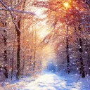 𝔉𝔞𝔢𝔩𝔦𝔱𝔥 𝔉𝔬𝔯𝔢𝔰𝔱║²¹+ discord icon