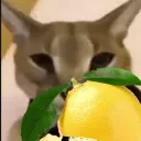 LEMONFUSION