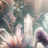 MysticalEncounters - A SpiritualGateway