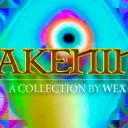 WexFi🔺