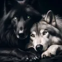 ˚☽˚｡⋆𝑻𝒉𝒆 𝑷𝒓𝒊𝒎𝒂𝒍 𝑷𝒂𝒄𝒌's icon