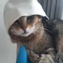 Loock