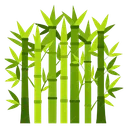 Bamboo Forest