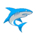 Baywatch゜ Discord server icon