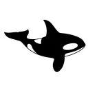 Orca