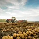The Spud Farm