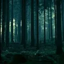 The Forbidden Chamber