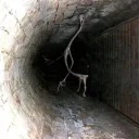 Bloodstained  || 16+ discord icon