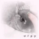 pr𝕚ncᥱss ݂ cɑ𝓈tlᥱ  ♡