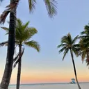 /miami