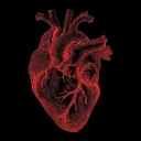 ❝ 1:15𝘈𝘔 ❞ ┊͙