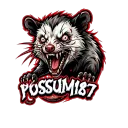 Awesome Possum Server