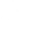 IB Cognito