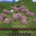 The Collector's Minecraft Madness