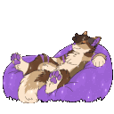 The Coyote Club