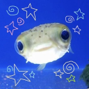 ☆ Guppy Reef ☆ Discord server icon