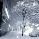 The Snowy Sanctuary !