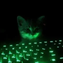 WIzzy's Den Discord server icon