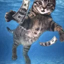 EconCat Community Server