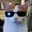 HANGOUT AND STUDY SERVER :3 Discord server icon