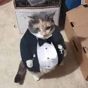ᒪᗩ ǤᑌᗩᖇᎥᗪᗩ