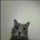 Small gamer studios Discord Server Icon